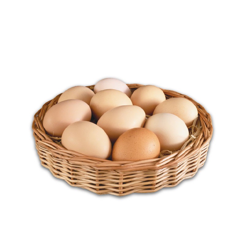 Chicken Eggs (Layer) 4pcs