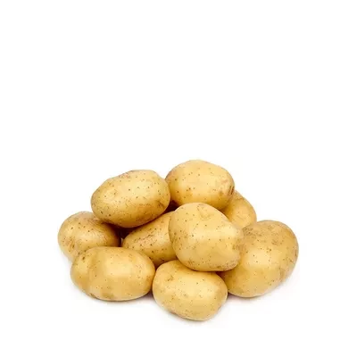 Potato