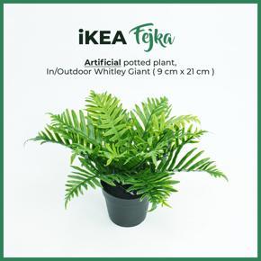 FEJKA Artificial potted plant in/outdoor Whitley Giant 9 cm