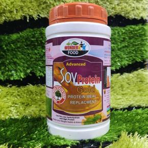 SOY PROTEIN powder 500gm 1 pes