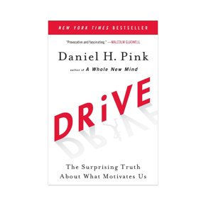 Drive: The Surprising Truth About What Motivates Us -Paperback