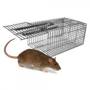 Rat & Mouse Catching Trap