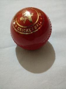 Practice Cricket Hard Ball (Synthetic) red