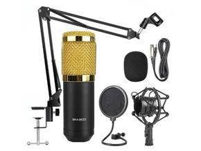 BM-800 professional recording microphone