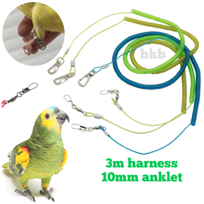 spring harness with amazon & alex parrot anklet foot ring 10mm {full set}