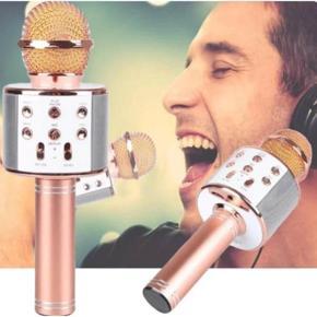 Bluetooth Wireless Karaoke Microphone-WS858 MIC Speaker