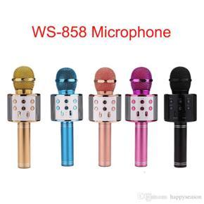 WS 858 Karaoke Wireless Microphone, Model Number: WS-858