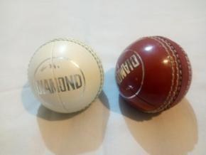 Practice Cricket Hard Ball PVC Pack of 2