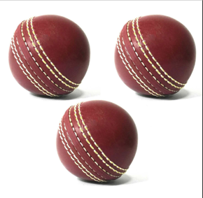 Pack of 3 Cricket Training Practicing Hard Ball Trainer