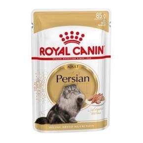 Royal canin persian adult cat food jelly and treats
