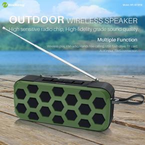 NewRixing NR-3019FM Bluetooth Speaker Mini Wireless TWS Connection USB Flash Drive Support TF Card FM Radio