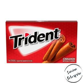 Trident Cinnamon Flavor Sugar Free Gum 14 Sticks