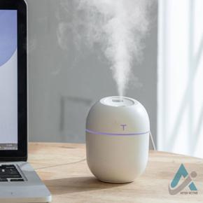 Large Air Diffuser USB Capacity Small Portable Egg Humidifier For Home Bedroom.