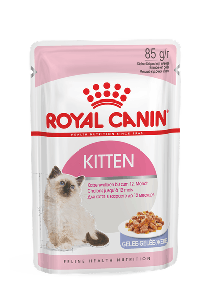 Royal Canin cat food jelly kitten treats