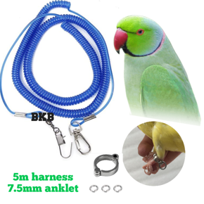 5miter spring harness with 7.5mm anklet foot ring for ringneck parrot, sun coniur & lory bird