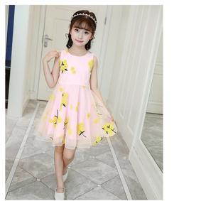 03 to 08 years Girl's Imported embroidery skirt Princess Dress