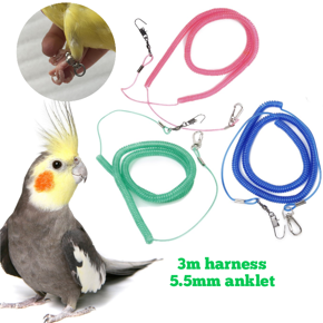 spring harness with anklet for cockatiel, yellow sider coniur, merun tail coniur bird {full set}