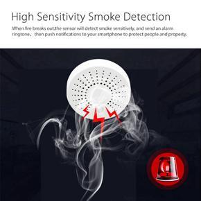 XHHDQES WiFi Tuya Smart Smoke Sensor 100DB Wifi Smart Home Device Surveillance Wireless Smoke Detector