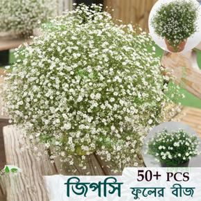 Gypsy Flower Seed - 50 pcs Mini Pack White Flower For All Season Seed