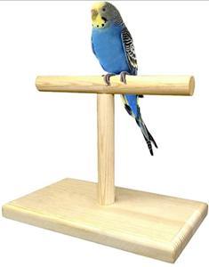 pet bird stand T stand perch