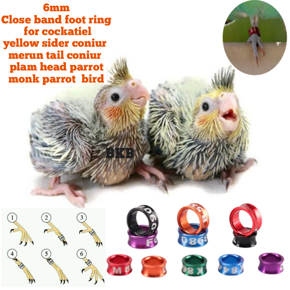 {2pcs} 6mm close band bird foot ring for cockatiel, yellow sider coniur, merun tail coniur, plam heded parrot bird foot ring