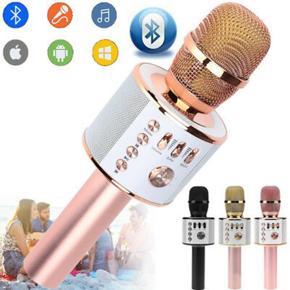 WS858 Bluetooth Wireless Karaoke Microphone MIC Speaker