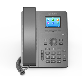 FLYINGVOICE P11 Color Screen Entry-level IP Phone