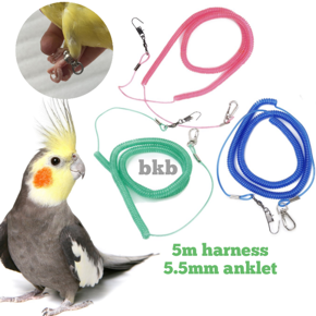 5miter spring harness lash with 5.5mm anklet foot ring for cockatiel, yellow sider coniur, merun tail coniur bird