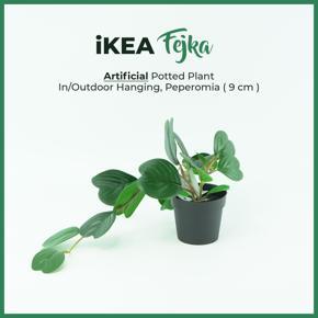 FEJKA Artificial potted plant in/outdoor hanging, Peperomia 9 cm