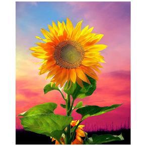 Diamond Painting Full Circle Diamond Kit Rhinestone Picture Art Craft Home Door Decoration (Sunflowers in the Sunset)