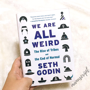 We Are All Weird by Seth Godin -Paperback