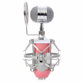 Portable and Durable Easy to Carry Lightweight Condenser Microphone BM-8000 For Studio Recording With Shock Mount Pop Filter