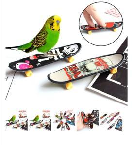 pet bird scouter toy pet bird accessories