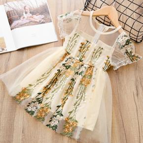 03 to 08 years Baby Girl's Fashionable short sleeved princess Party Dress