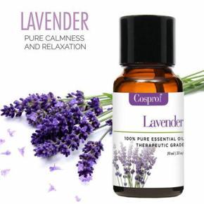 Lavender essential oil - 10 ML
