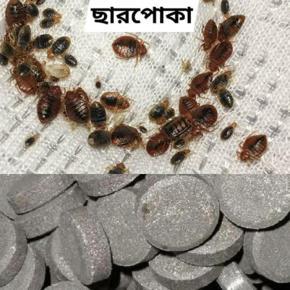 Bedbug Charpoka Repellant Medicine 100% Working
