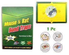 Big Size Mouse Rat Bond Traps Green Killer China 8/6 Inch - 1Pcs
