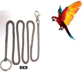 Metal Foot Chain Harness and Leash for Bird Parrot Cockatiels Conure