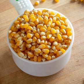 Organic Pop Corn Kernels - 500gm Popcorn ( Vuttar khoi )