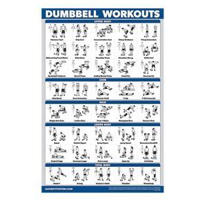 ARELENE Fitness Workout Posters-Bodyweight Exercise Posters for Body Workout-Core,Abs,Legs,Glutes & Upper Body Training Program