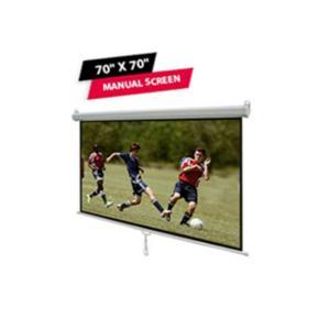 Apollo Wall Projection Screen 70 Inch X 70 Inch