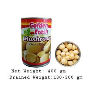 Golden Fresh Whole Mushroom Can 400g