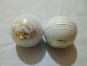 Practice Cricket Hard Ball (Synthetic)