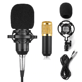 BM 800 Condenser Microphone