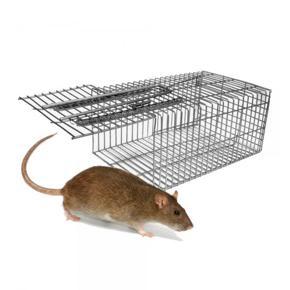 Rat & Mouse Catching Trap
