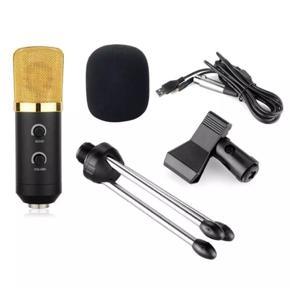 BM 100 FX 3.5mm USB Condenser Microphone for Studio Recording Complete Package Price Mic Condenser Microphone For Studio Recording or Youtuber YouTube Channel