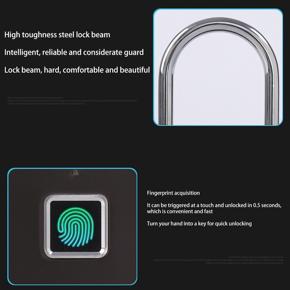 Smart Padlock-1 x fingerprint padlock
1 x USB cable-Black