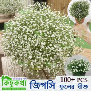 Gypsy Flower Seed - 100 pcs Mini Pack White Flower For All Season Seed