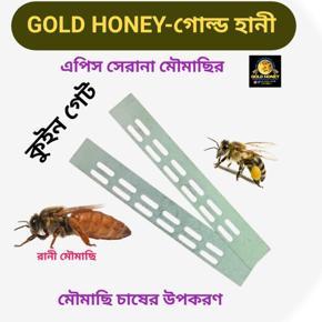 Beekeeping Queen gate 2 pcs of Apis Serana bee (Deshi khude Mowmasi)