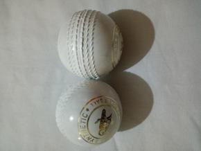 Practice Cricket Hard Ball (Synthetic) 2 x  White